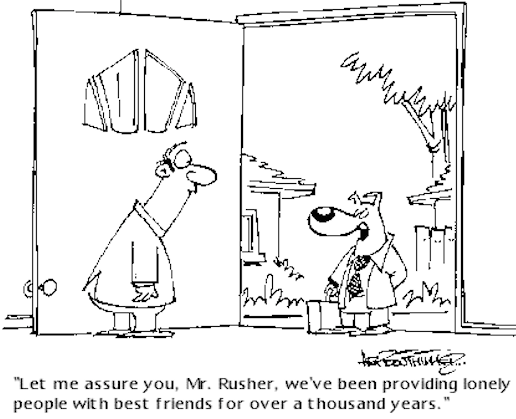Funny Dog Cartoon